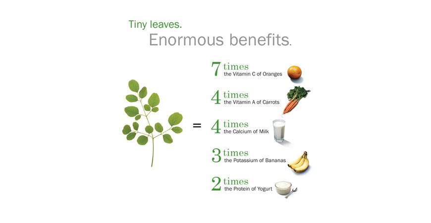 Moringa plant benefits
